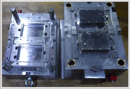 Mold picture
